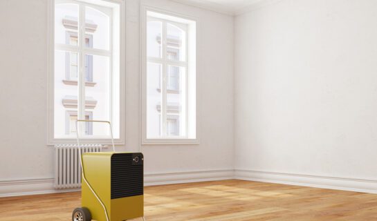 Dehumidifier rent for room water damage at house or apartment (3 Schadensersatzansprüche des Mieters bei Mängeln der Mietwohnung